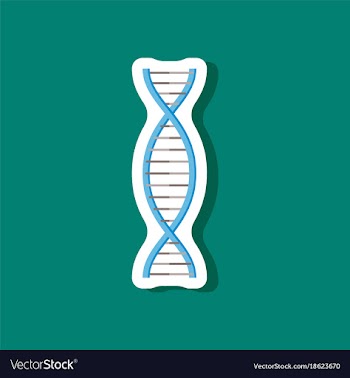 Paper sticker on stylish background dna vector image
