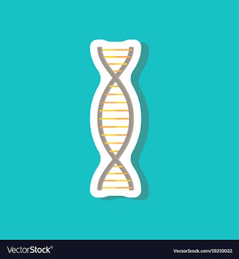Paper sticker on stylish background dna vector image