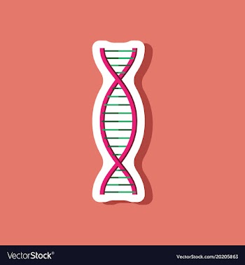 Paper sticker on stylish background dna vector image