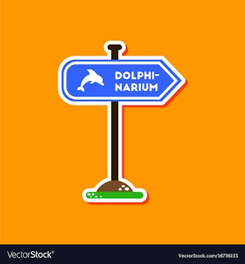 Paper sticker on stylish background dolphinarium vector image