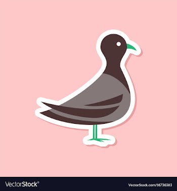 Paper sticker on stylish background dove vector image