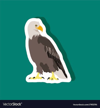 Paper sticker on stylish background eagle vector image