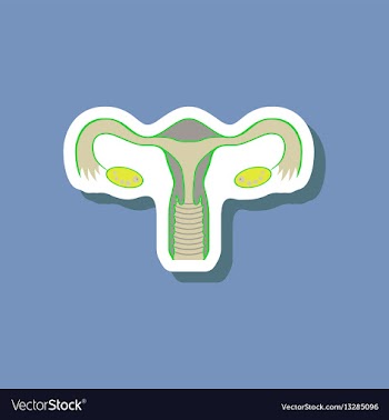 Paper sticker on stylish background female vector image