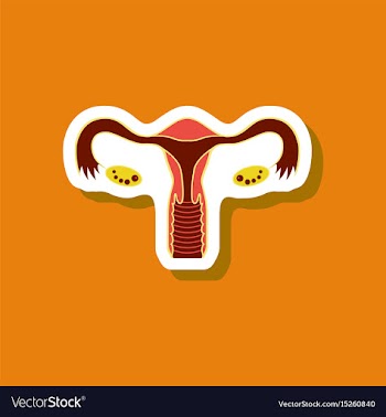 Paper sticker on stylish background female vector image