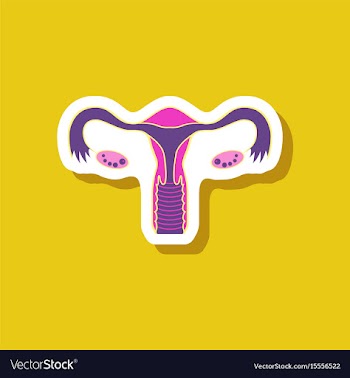 Paper sticker on stylish background female vector image