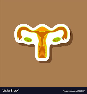 Paper sticker on stylish background female vector image