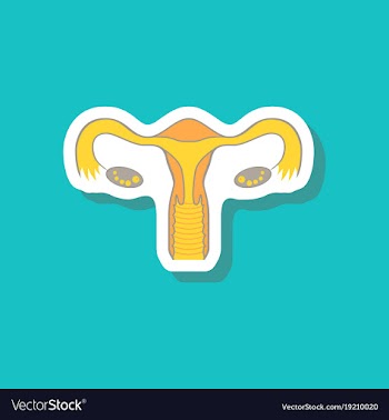 Paper sticker on stylish background female vector image