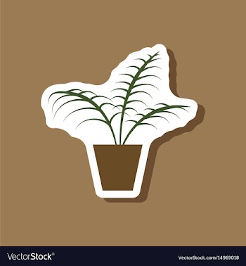 Paper sticker on stylish background ficus vector image