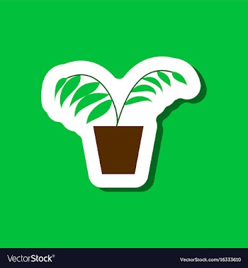Paper sticker on stylish background ficus vector image