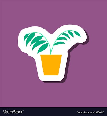 Paper sticker on stylish background ficus vector image