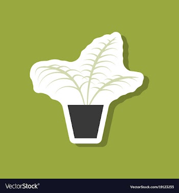 Paper sticker on stylish background ficus vector image