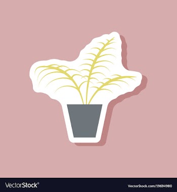 Paper sticker on stylish background ficus vector image