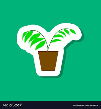Paper sticker on stylish background ficus vector image