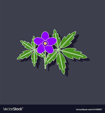 Paper sticker on stylish background flower anemone vector image
