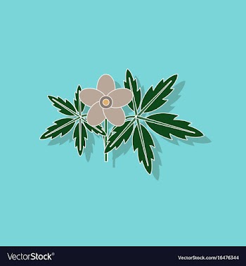 Paper sticker on stylish background flower anemone vector image