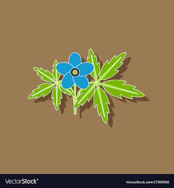 Paper sticker on stylish background flower anemone vector image