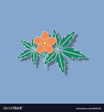 Paper sticker on stylish background flower anemone vector image