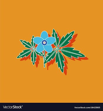 Paper sticker on stylish background flower anemone vector image