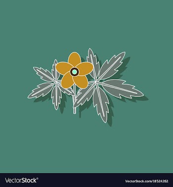 Paper sticker on stylish background flower anemone vector image