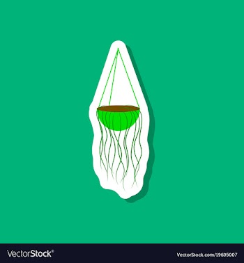 Paper sticker on stylish background flower pot vector image