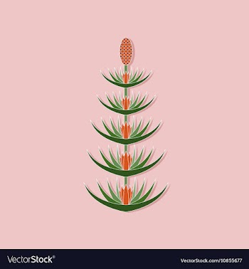 Paper sticker on stylish background flower vector image
