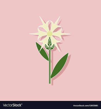 Paper sticker on stylish background flower vector image