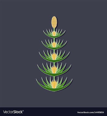 Paper sticker on stylish background flower vector image