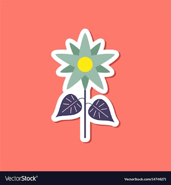 Paper sticker on stylish background flower vector image