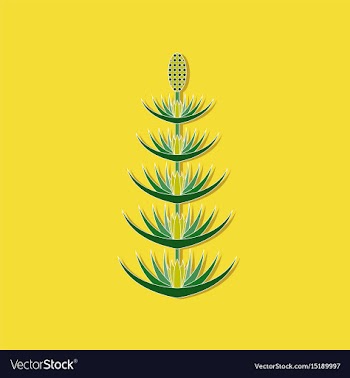 Paper sticker on stylish background flower vector image