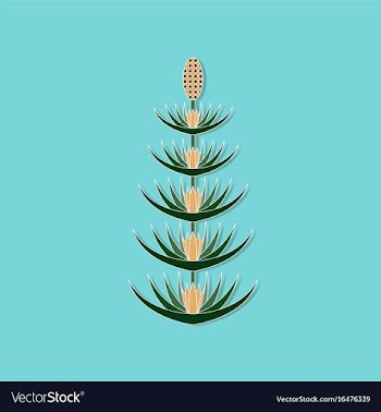 Paper sticker on stylish background flower vector image