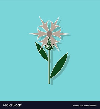 Paper sticker on stylish background flower vector image