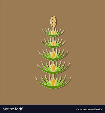 Paper sticker on stylish background flower vector image