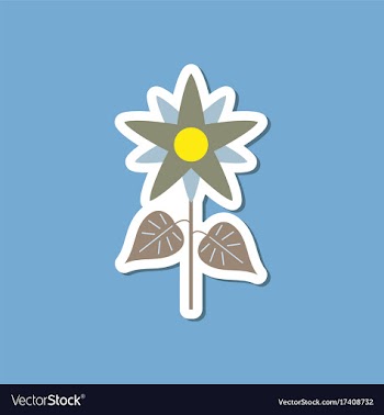 Paper sticker on stylish background flower vector image