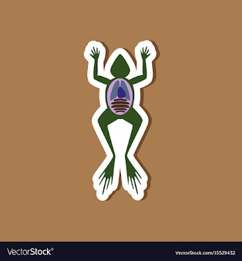 Paper sticker on stylish background frog biology vector image