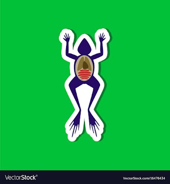 Paper sticker on stylish background frog biology vector image
