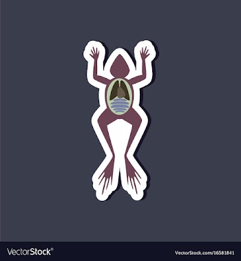 Paper sticker on stylish background frog biology vector image
