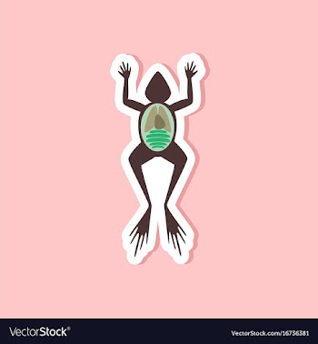 Paper sticker on stylish background frog biology vector image