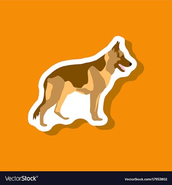 Paper sticker on stylish background german vector image