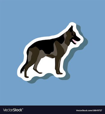 Paper sticker on stylish background german vector image