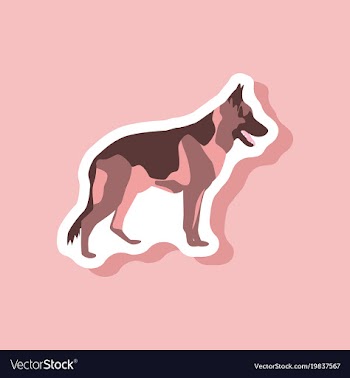 Paper sticker on stylish background german vector image