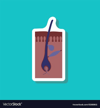 Paper sticker on stylish background hair follicles vector image
