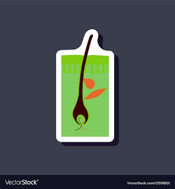 Paper sticker on stylish background hair follicles vector image