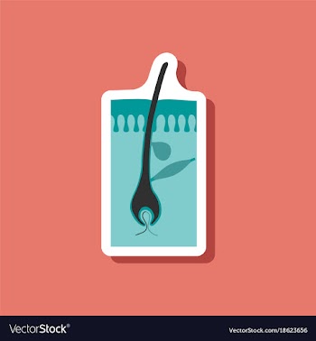 Paper sticker on stylish background hair follicles vector image