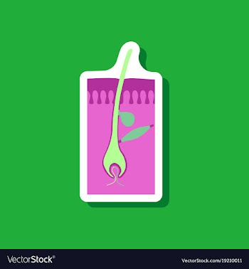 Paper sticker on stylish background hair follicles vector image