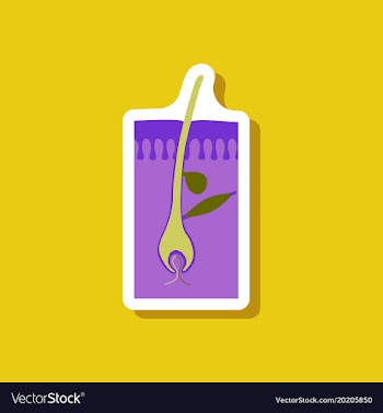 Paper sticker on stylish background hair follicles vector image