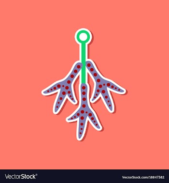Paper sticker on stylish background halloween vector image