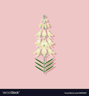 Paper sticker on stylish background herb Linaria vector image