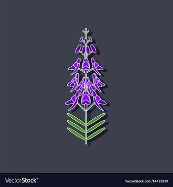 Paper sticker on stylish background herb linaria vector image