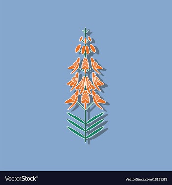 Paper sticker on stylish background herb linaria vector image