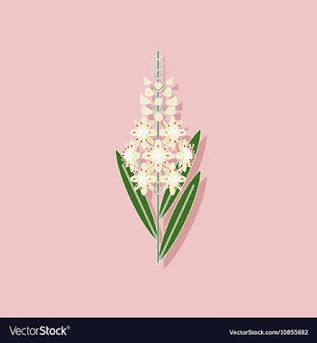 Paper sticker on stylish background herbal vector image